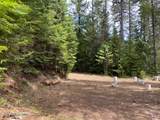 97 Mineral Ln - Photo 20