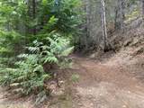 97 Mineral Ln - Photo 24
