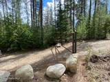 97 Mineral Ln - Photo 26