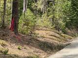 97 Mineral Ln - Photo 28