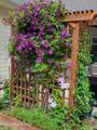 266 Syringa Heights Rd - Photo 87