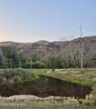 13761 Asotin Creek Road - Photo 6
