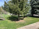 13610 Cataldo Dr - Photo 5