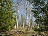 NKA Raven Ridge - Photo 11