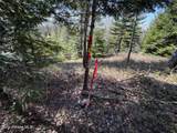 NKA Raven Ridge - Photo 12