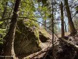 NKA Raven Ridge - Photo 14
