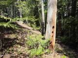 NKA Raven Ridge - Photo 17