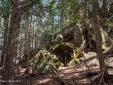 NKA Raven Ridge - Photo 20