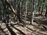 NKA Raven Ridge - Photo 21