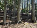 NKA Raven Ridge - Photo 23