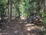NKA Raven Ridge - Photo 24
