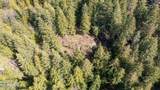 NKA Raven Ridge - Photo 29