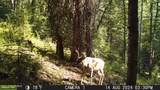 NKA Raven Ridge - Photo 39