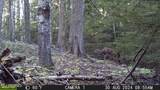 NKA Raven Ridge - Photo 41