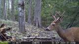 NKA Raven Ridge - Photo 44