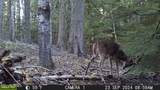 NKA Raven Ridge - Photo 45