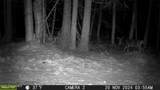 NKA Raven Ridge - Photo 49