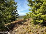 NKA Raven Ridge - Photo 6