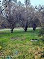 968 Roosevelt Rd - Photo 30