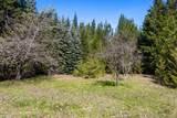 1169 Algoma Spur Rd - Photo 39