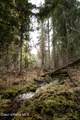 NNA Mud Gulch - Photo 27
