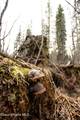 NNA Mud Gulch - Photo 28