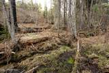 NNA Mud Gulch - Photo 29