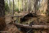 NNA Mud Gulch - Photo 30