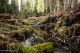 NNA Mud Gulch - Photo 31