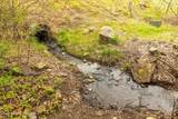 Hoyt - Photo 14