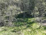 NNA Bottle Brand Rd - Photo 34