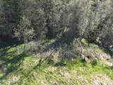 NNA Bottle Brand Rd - Photo 35