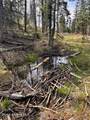 TBD Harris Ridge Rd - Photo 10