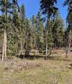 TBD Harris Ridge Rd - Photo 11