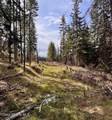TBD Harris Ridge Rd - Photo 6