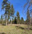 TBD Harris Ridge Rd - Photo 7