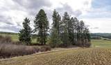 NKA Clifford Rd - Photo 2