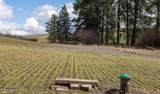 NKA Clifford Rd - Photo 20