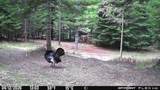 4177 Eagles Mere Rd - Photo 100
