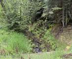 498 Revenue Gulch Rd - Photo 18