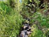 498 Revenue Gulch Rd - Photo 19