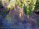 498 Revenue Gulch Rd - Photo 9