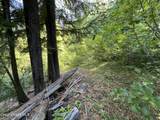 520 Alpine Dr - Photo 8