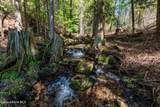 1142 Salee Creek Rd - Photo 4