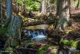 1142 Salee Creek Rd - Photo 42