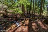 1142 Salee Creek Rd - Photo 43