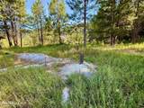 869 Eagle Ridge Ln - Photo 24