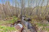 1791 Pup Paw Trl - Photo 42