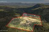 1791 Pup Paw Trl - Photo 47