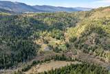 1791 Pup Paw Trl - Photo 54